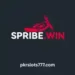 Spribe Win Game