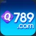 Q789 Game