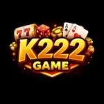 K222 Game